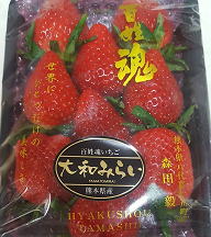 大和みらい