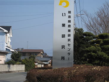 い草研究所